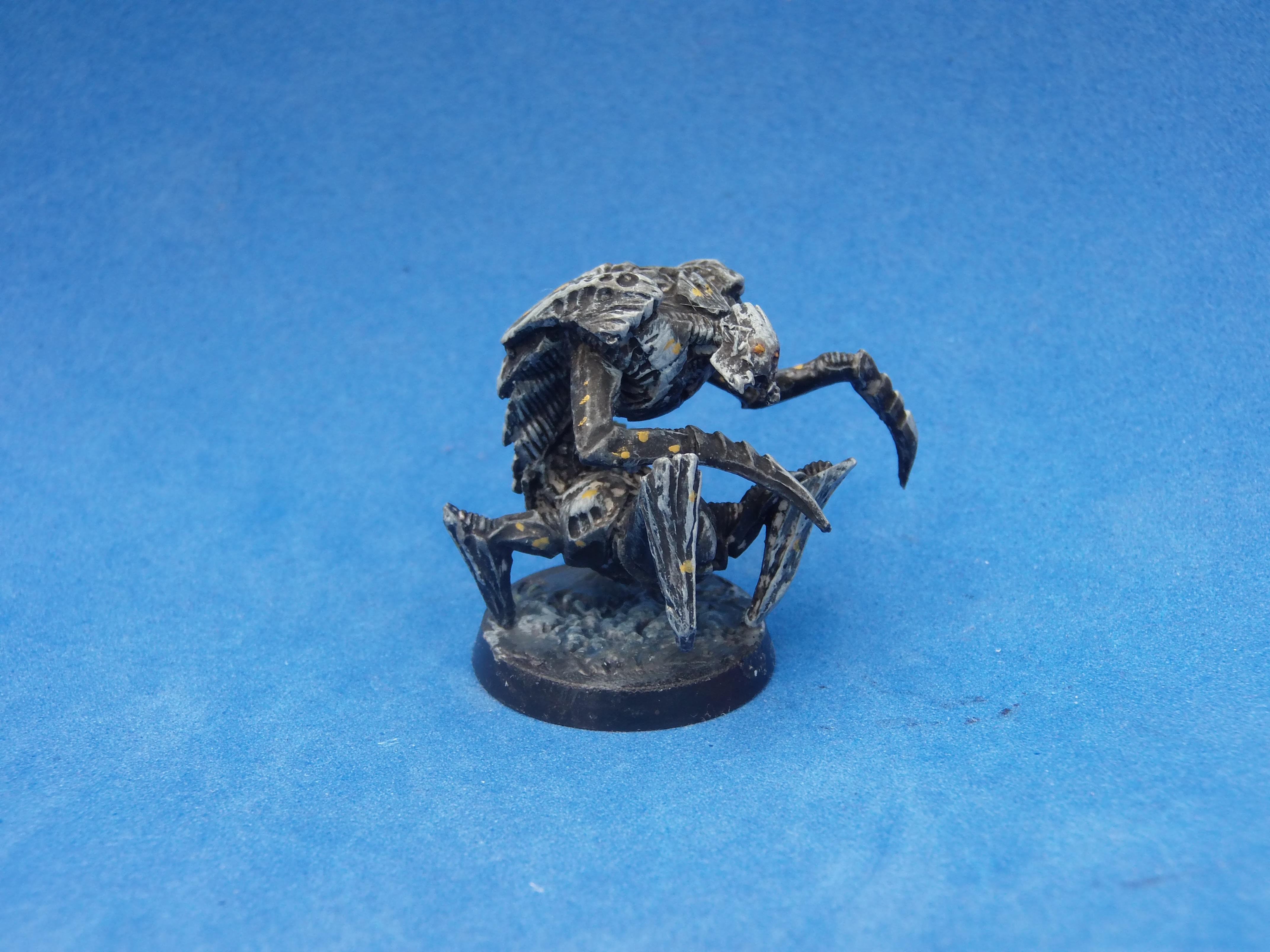 Insectoid Warrior 1 - Insectoid Warrior 1 - Gallery - DakkaDakka